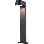 D'Lite Lampada a piedistallo Lira Nero 7W 600lm 830 Luce Calda -  | IP54