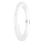 Osram Tubo LED T9 Circolare (EM/Mains) 11W 1320lm - 865 Luce Del Giorno | Sostitutiva 22W