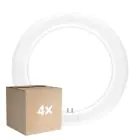 Confezione Multipack 4x Ledvance Tubo LED T9 Value Circolare (EM/Mains) 11W 1320lm - 840 Bianco Freddo | Sostitutiva 22W